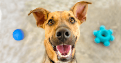 Presente para pessoas que amam cachorro.