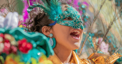 Presentes para quem gosta de carnaval